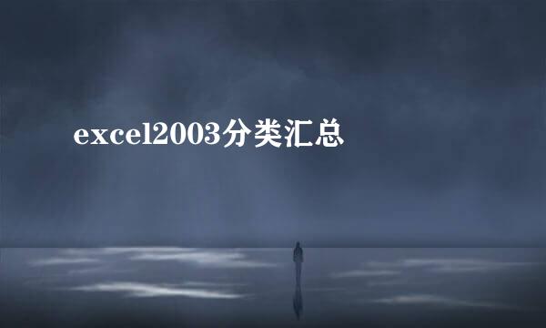 excel2003分类汇总