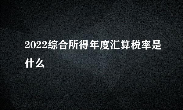 2022综合所得年度汇算税率是什么