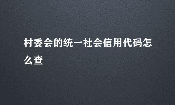 村委会的统一社会信用代码怎么查