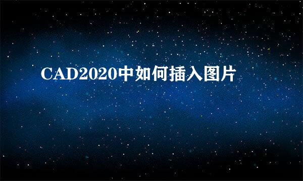 CAD2020中如何插入图片