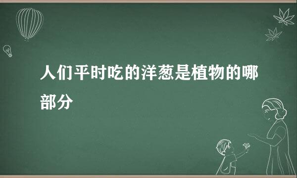 人们平时吃的洋葱是植物的哪部分