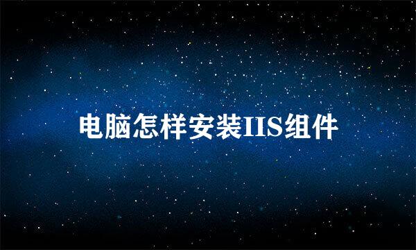 电脑怎样安装IIS组件