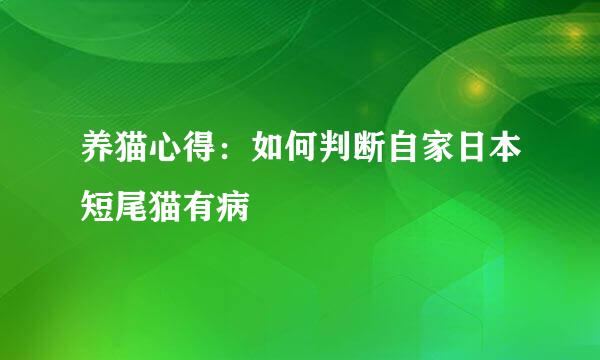 养猫心得：如何判断自家日本短尾猫有病