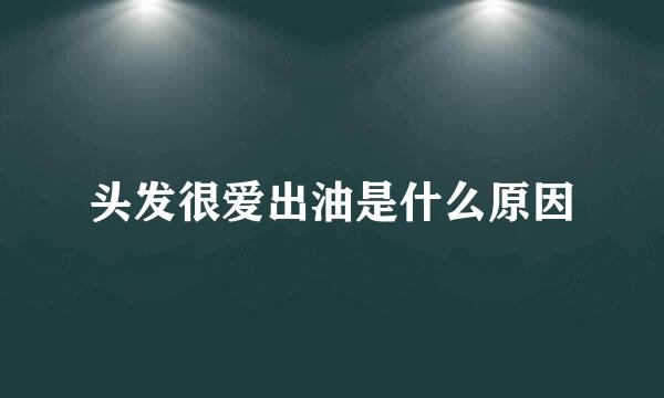 头发很爱出油是什么原因