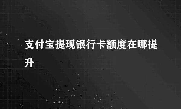 支付宝提现银行卡额度在哪提升
