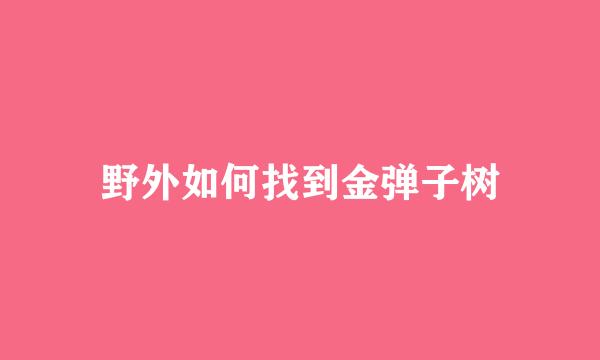 野外如何找到金弹子树