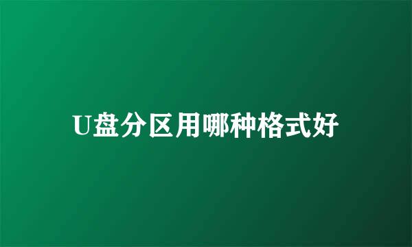 U盘分区用哪种格式好