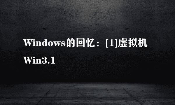Windows的回忆：[1]虚拟机Win3.1