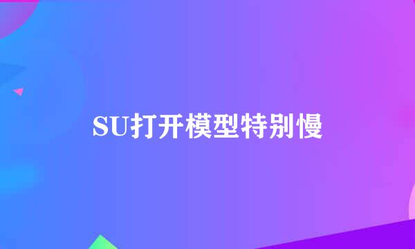 SU打开模型特别慢