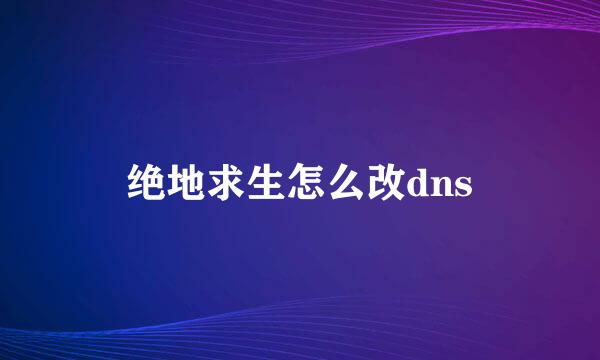 绝地求生怎么改dns