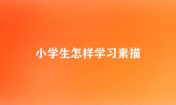 小学生怎样学习素描