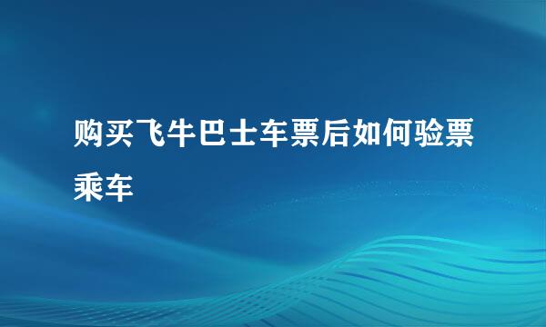 购买飞牛巴士车票后如何验票乘车