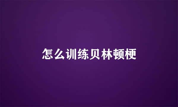 怎么训练贝林顿梗