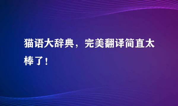 猫语大辞典，完美翻译简直太棒了！