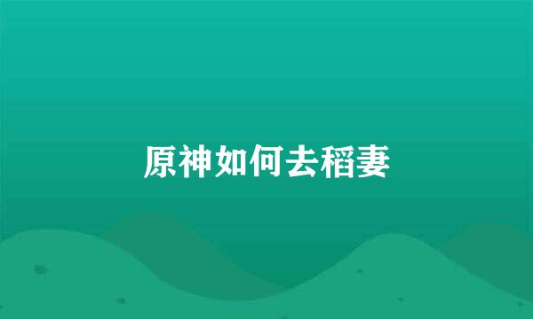 原神如何去稻妻