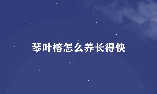 琴叶榕怎么养长得快
