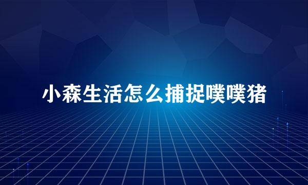 小森生活怎么捕捉噗噗猪