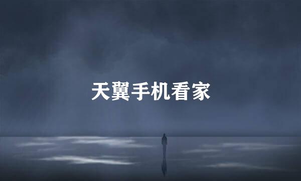 天翼手机看家