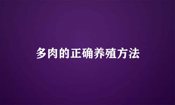 多肉的正确养殖方法