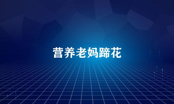 营养老妈蹄花