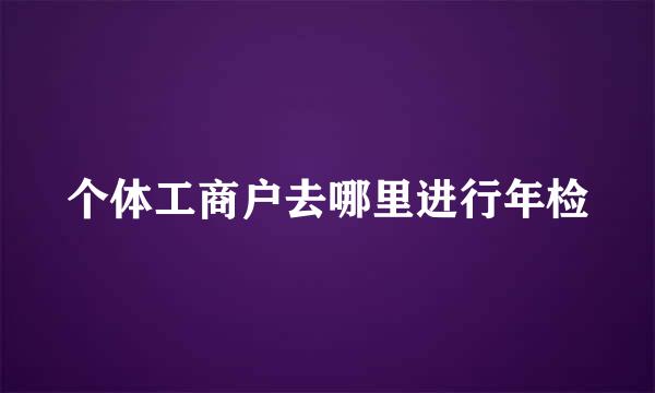 个体工商户去哪里进行年检