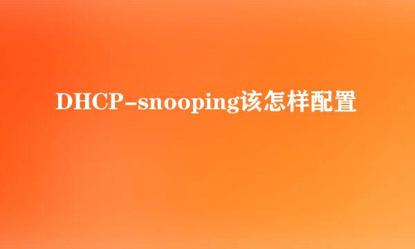 DHCP-snooping该怎样配置
