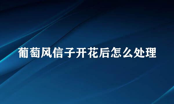 葡萄风信子开花后怎么处理