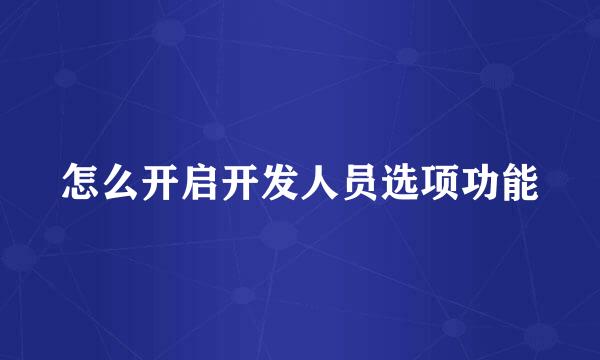怎么开启开发人员选项功能