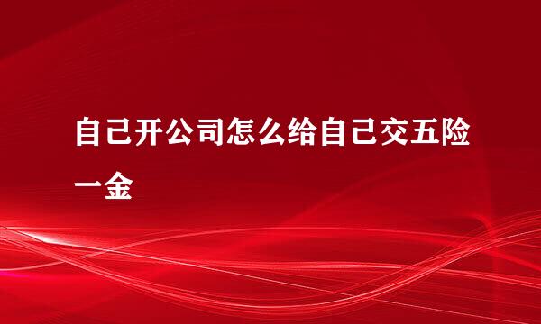 自己开公司怎么给自己交五险一金