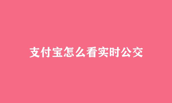 支付宝怎么看实时公交