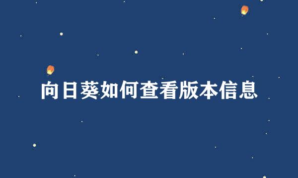 向日葵如何查看版本信息