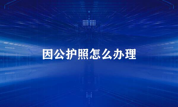 因公护照怎么办理