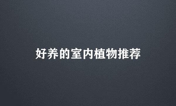 好养的室内植物推荐