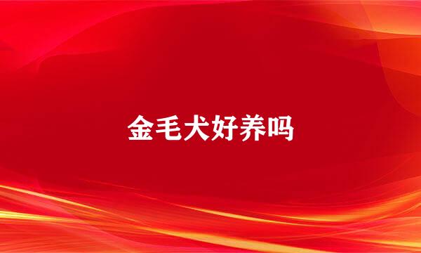 金毛犬好养吗