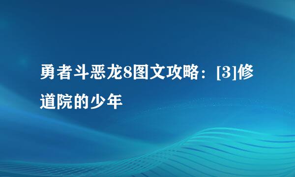 勇者斗恶龙8图文攻略：[3]修道院的少年