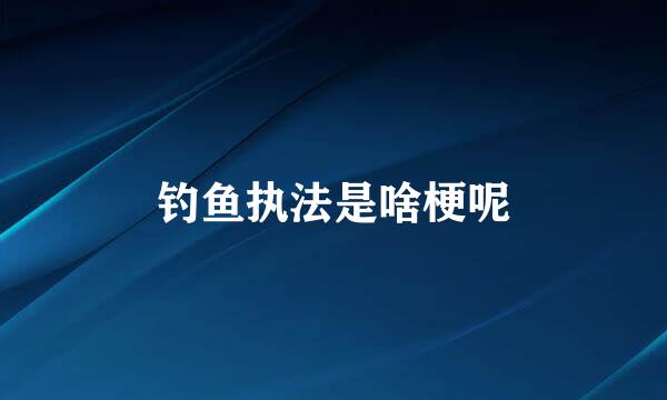 钓鱼执法是啥梗呢