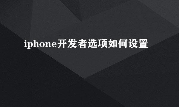 iphone开发者选项如何设置
