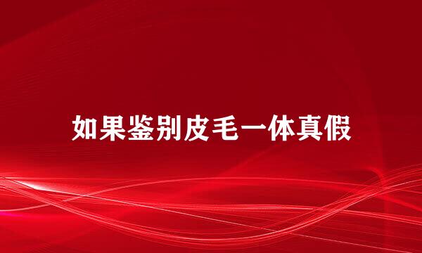 如果鉴别皮毛一体真假