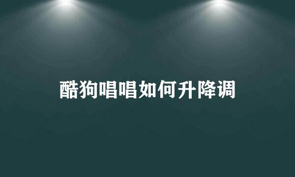 酷狗唱唱如何升降调
