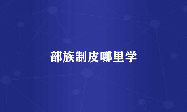 部族制皮哪里学