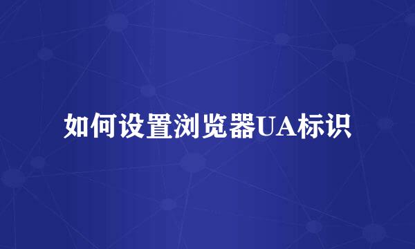 如何设置浏览器UA标识