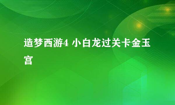 造梦西游4 小白龙过关卡金玉宫