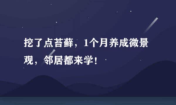 挖了点苔藓，1个月养成微景观，邻居都来学！