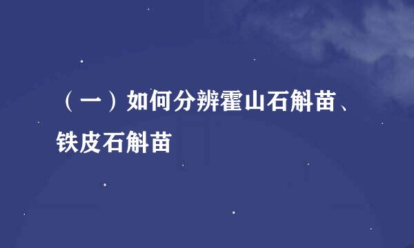 （一）如何分辨霍山石斛苗、铁皮石斛苗