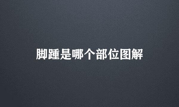 脚踵是哪个部位图解
