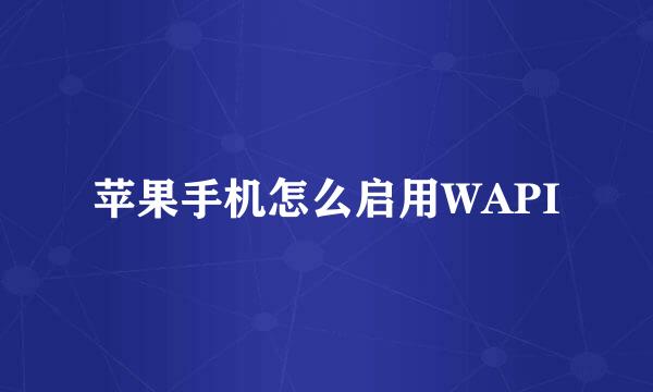 苹果手机怎么启用WAPI