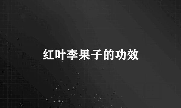 红叶李果子的功效