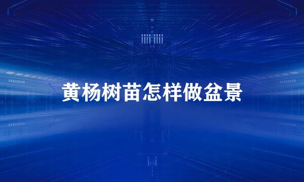 黄杨树苗怎样做盆景
