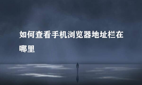 如何查看手机浏览器地址栏在哪里