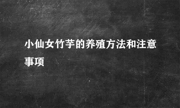 小仙女竹芋的养殖方法和注意事项